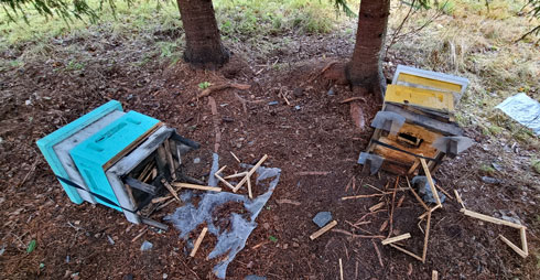 Dubbelmordet i Hörneå 2025